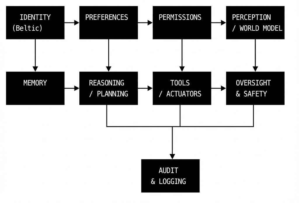 Where Beltic Plays In